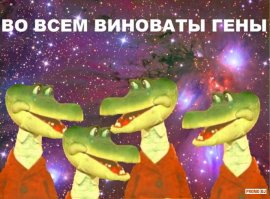 Отец-фотограф снимает  таинственный мир, в котором живет его сын-аутист
