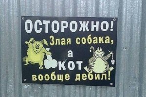 Что скрывают за собой таблички «Осторожно! Злая собака!»