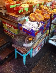 -Здрасьти, а коты свежие?
-Вчера завезли.
-Заверните, и бананов полкило.