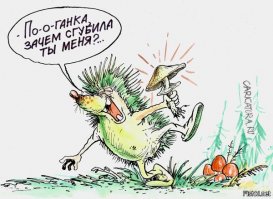 Воскресная подборка позитивных фото