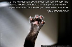 15 самых жутких и загадочных мест в мире