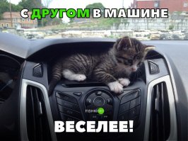Свежая подборка автоприколов