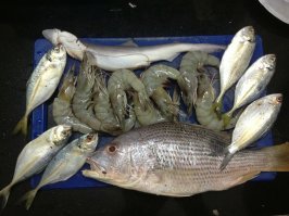 так вот мой конек суп из морепродуктов ... маленькие акулки , креветки , осминожки и кальмарчики , все с фишмаркета ... мама дорогая