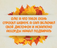 Картинки со смешными подписями