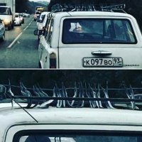 это волюнтаризм так с сарганом поступать((((( (вяленый просто песня)