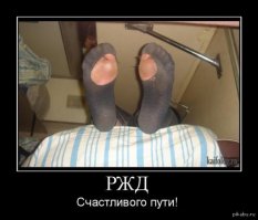 23 попутчика, которые разнообразят любую поездку