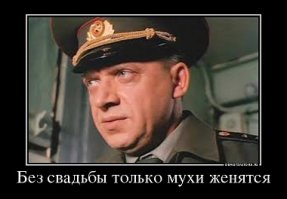 Подарок для зеленой мухи