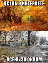 До и после: магия осени