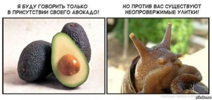 Испанец рисует портреты с помощью авокадо