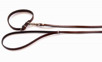 Хозяин - дебил, мужик - молодец! Но в принципе ничего плохого не случилось бы, подняло бы Тузика до верха, да и оборвался бы поводок. Хотя, хрен его знает!