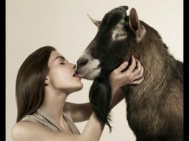 Корми не корми,какай в кокончик или нет-
судьбина одна
Сначала всегда так,а потом обычно...