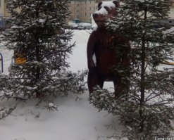 Порнозвезды на съемочной площадке и в повседневной жизни