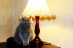 Жители Магнитогорска находят конверты с деньгами