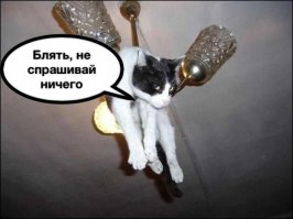 Жители Магнитогорска находят конверты с деньгами