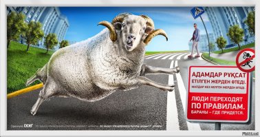 Почти перебежала девять полос