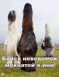 Всячина