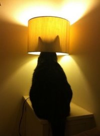 Хотел купить вазелинчик для старых монет, а получилось то, что получилось