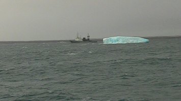 Друг прислал не давно, из Арктики пришел.