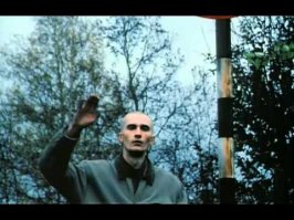 Ничего себе: Питер встал на доски!