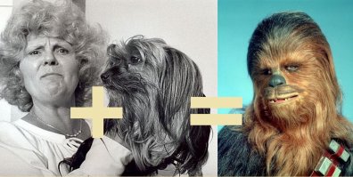 Немецкий фотограф Гюнтер Цинт