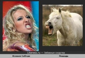 Туда же...