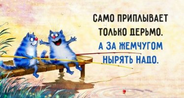 12 фотографий, на которых непонятно что происходит