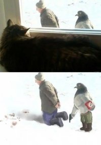 Фото подборка приколов