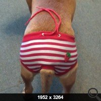 15 фотографий, странность которых зашкаливает