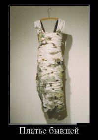 Бывшая была бревном !