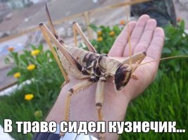 15 фотографий, странность которых зашкаливает