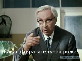 Ей 54, но все принимают ее сына за бойфренда