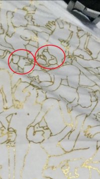 там собаки то полноправные участники