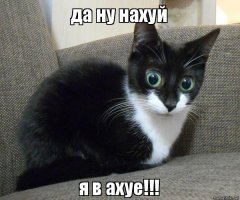 Женская суровая месть