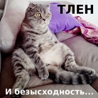 Самая грустная подборка этой осени