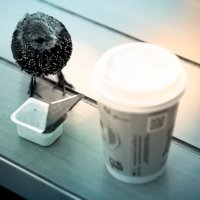 а я на днях, с таким вот товарищем обедал)