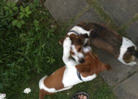 Спим без задних ног на даче после веселья с еще одной подругой))
