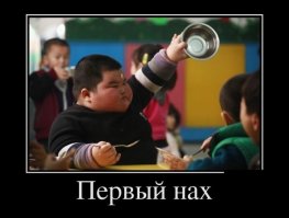 У меня собака из таких же ест)