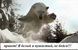 В объятиях большого друга