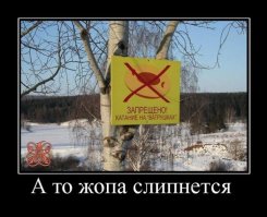 её просто разнесет