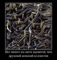 Нравы китайских гаремов и чудо-наложницы, ставшие Императорами