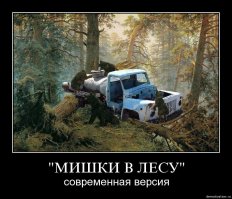 35 фотографий животных, глядя на которые невозможно не улыбнуться