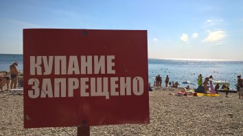 Отсутствие воспитания или его излишки?