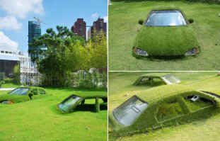 Заехал на минутку