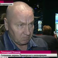 И что этот дедушка может "охранить"?