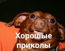 Что же едят в Северной Корее?
