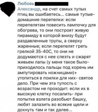 Держал перепелок, тут немного утрированно но в основном чистейшая правда )