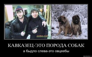 Краснодарский край и Адыгея: Олимпиада многонациональности