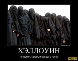 Фотоподборка за 21.10.2016