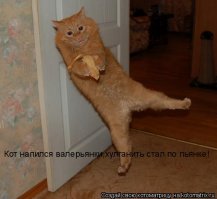 Животные - кайфовщики. Зоологический алкоголизм и наркомания