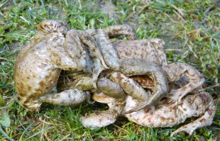 Фотоподборка за 21.10.2016